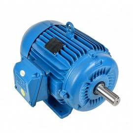Motor Eléctrico 10 hp Trifásico Weg 01018ET3EM215TW