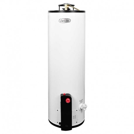 Calentador de Depósito Calorex G-20 72 Lts 2 Servicios