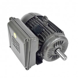 Motor Eléctrico 5 hp  Monofásico  Weg 14039230