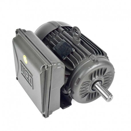 Motor Eléctrico 5 hp  Monofásico  Weg 14039230
