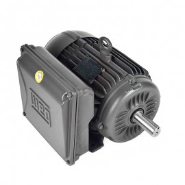 Motor Eléctrico 3 hp Monofásico Weg 14039137