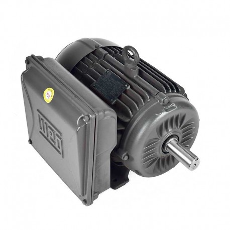 Motor Eléctrico 3 hp Monofásico Weg 14039137